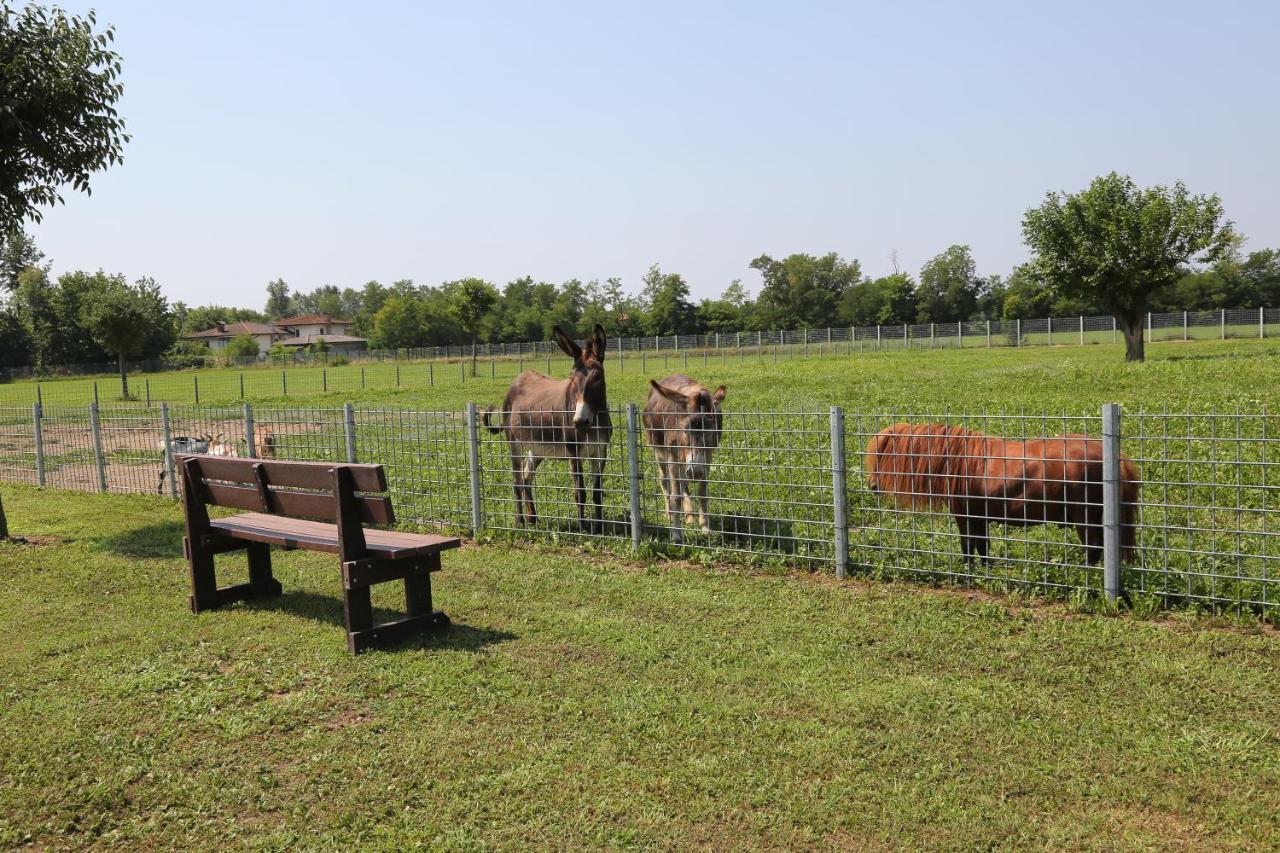 Azienda Agrituristica Ai Prai Castello Di Godego Luaran gambar